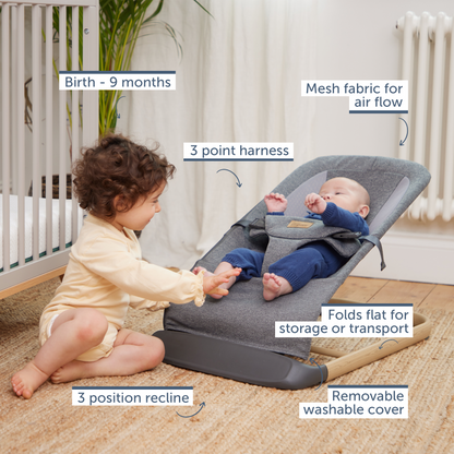 Allta Baby Bouncer